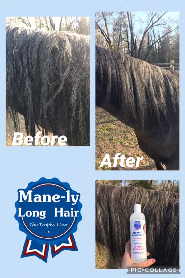 MANE-LY LONG HAIR - Image 2